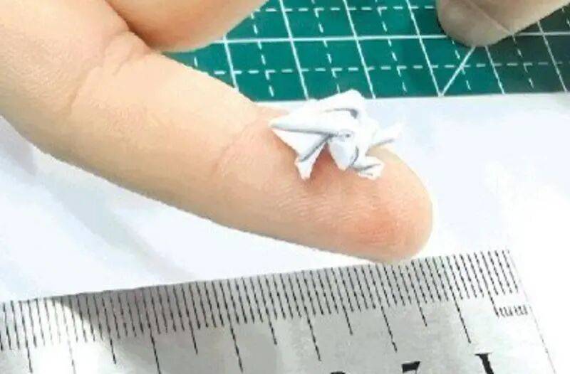11歲小學生折的紙青蛙，打破吉尼斯世界紀錄