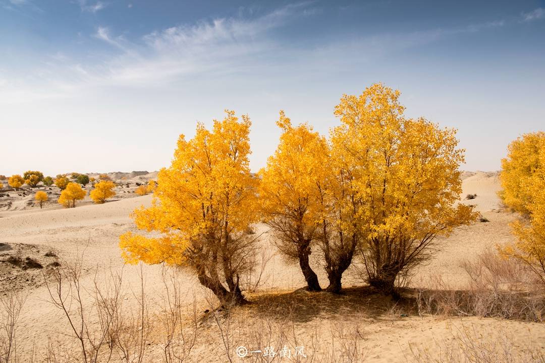 原創新疆和田，被嚴重低估的寶藏旅遊地