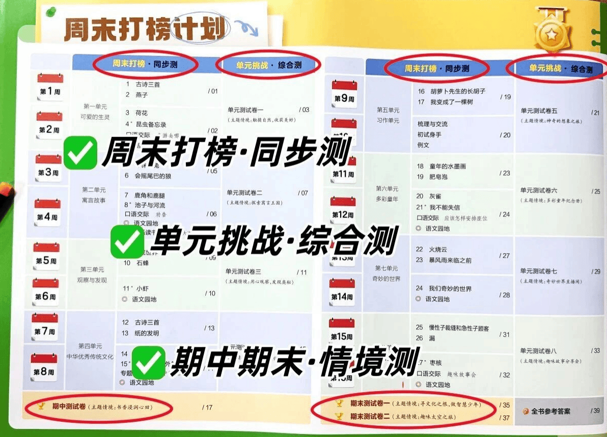小學數學周測｜天星教育週末打榜卷科學訓練方案