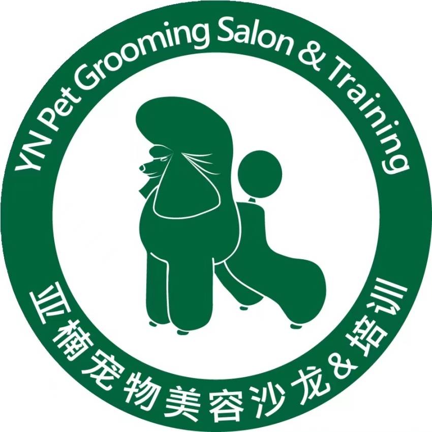 寵物美容入門知識科普 | 太原亞楠寵物美容培訓