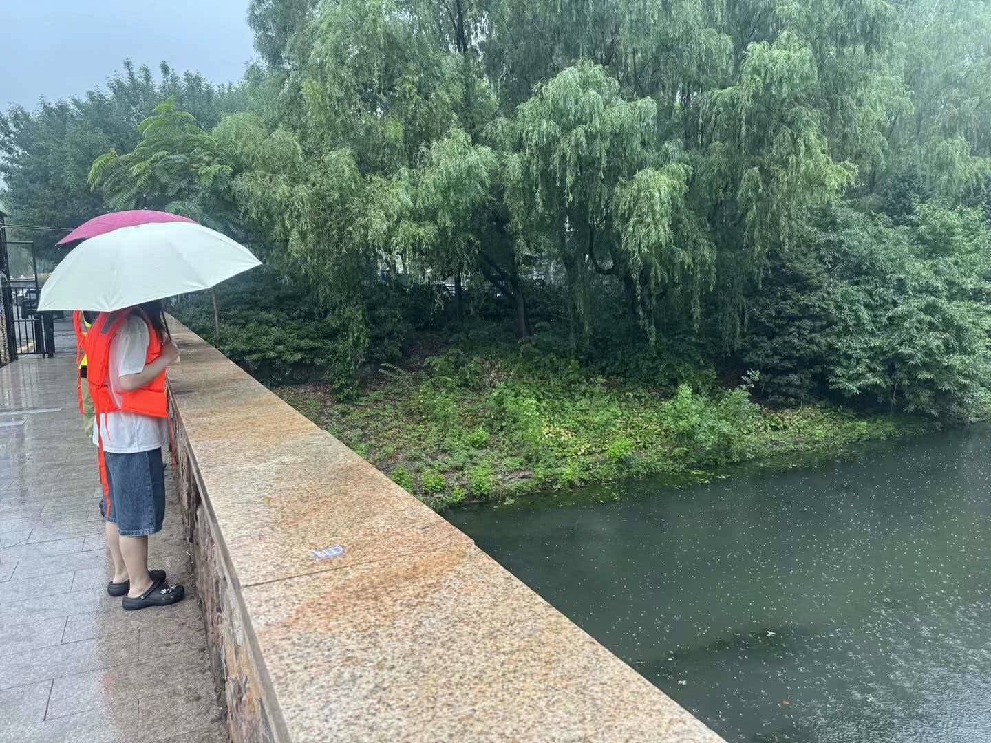 短時強降雨致積水、大風致樹木倒折，順義各地快速處置